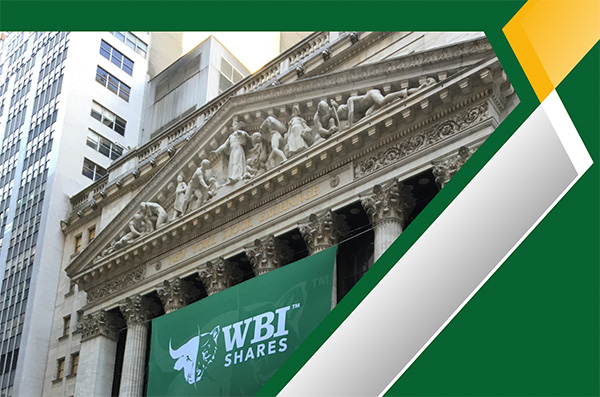 Mega-Cap Fatigue? Look to Dividends